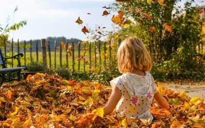 Podzimní fotografování – ZRUŠENO